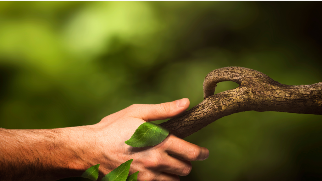 Biodiversité