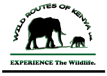 Logo Wild route of Kenya