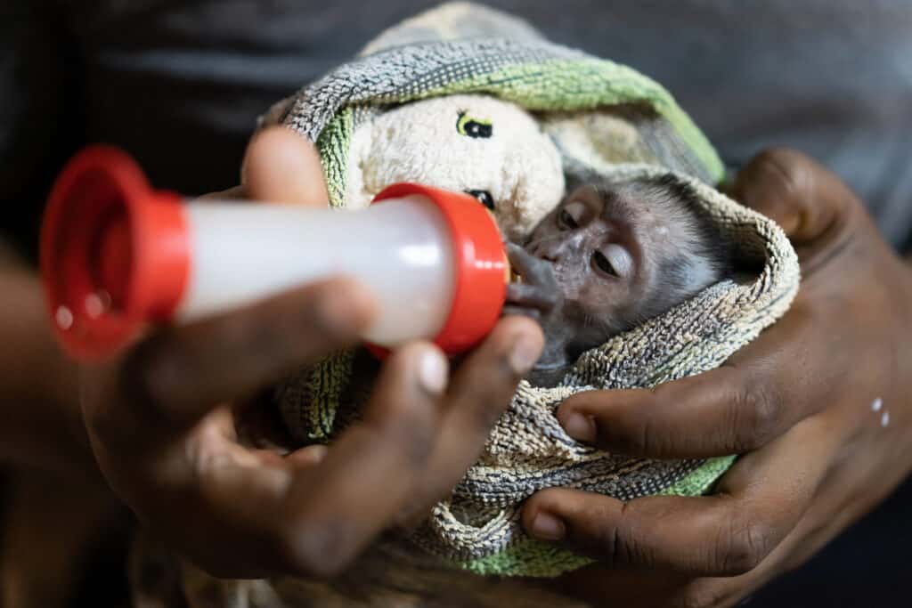 Volontariat Malawi refuge