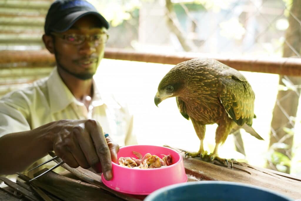 Sanctuaire animaux sauvages Malawi