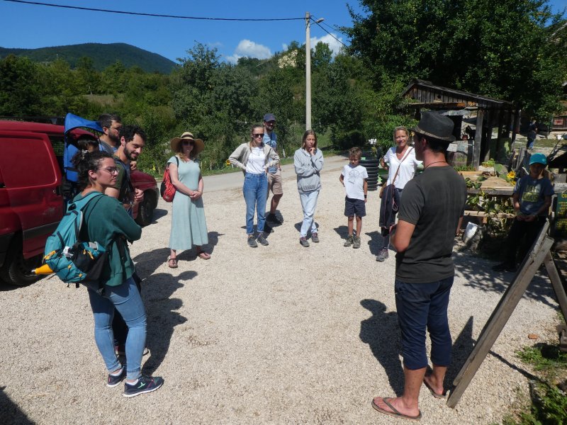 Ecovolontariat avec les ours