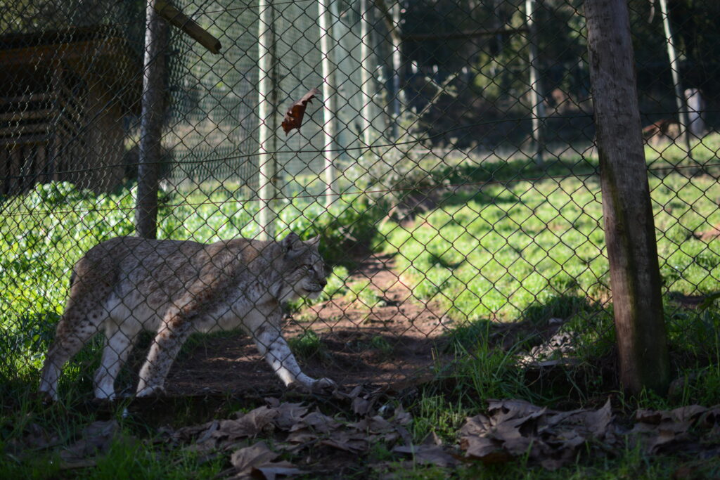 Parc biologique au Portugal