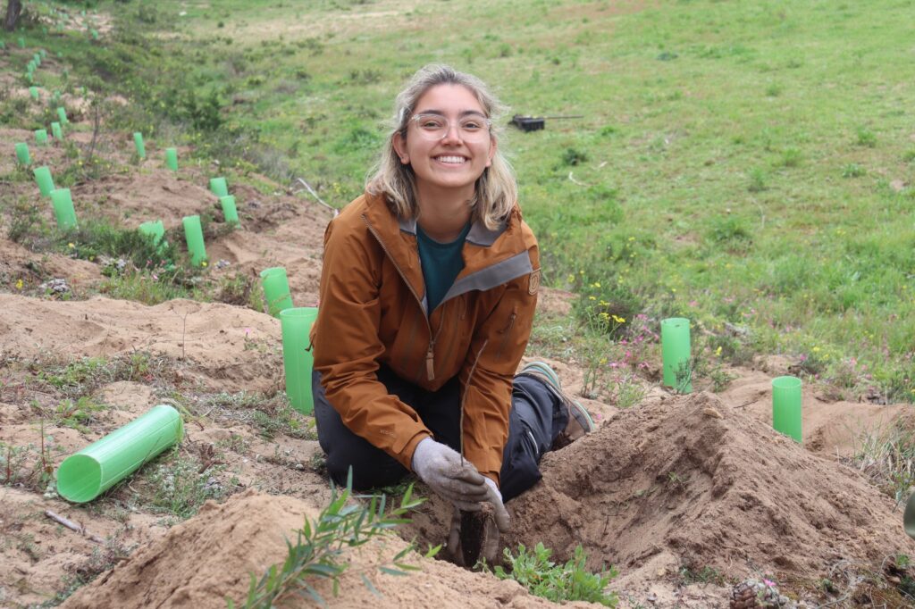 Volontaire pour les forêts au Portugal