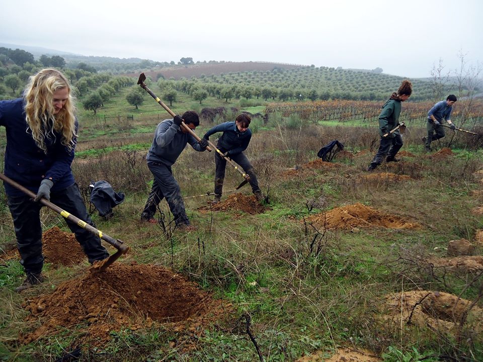 Ecovolontariat Portugal