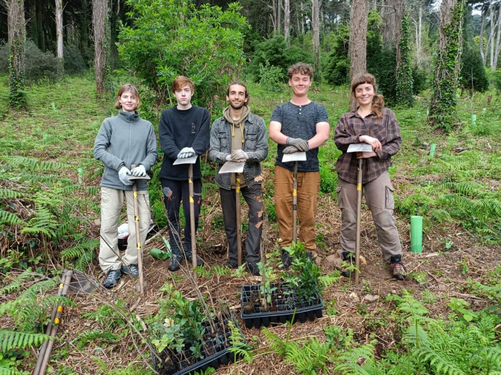 Replanter des arbres en tant que volontaire