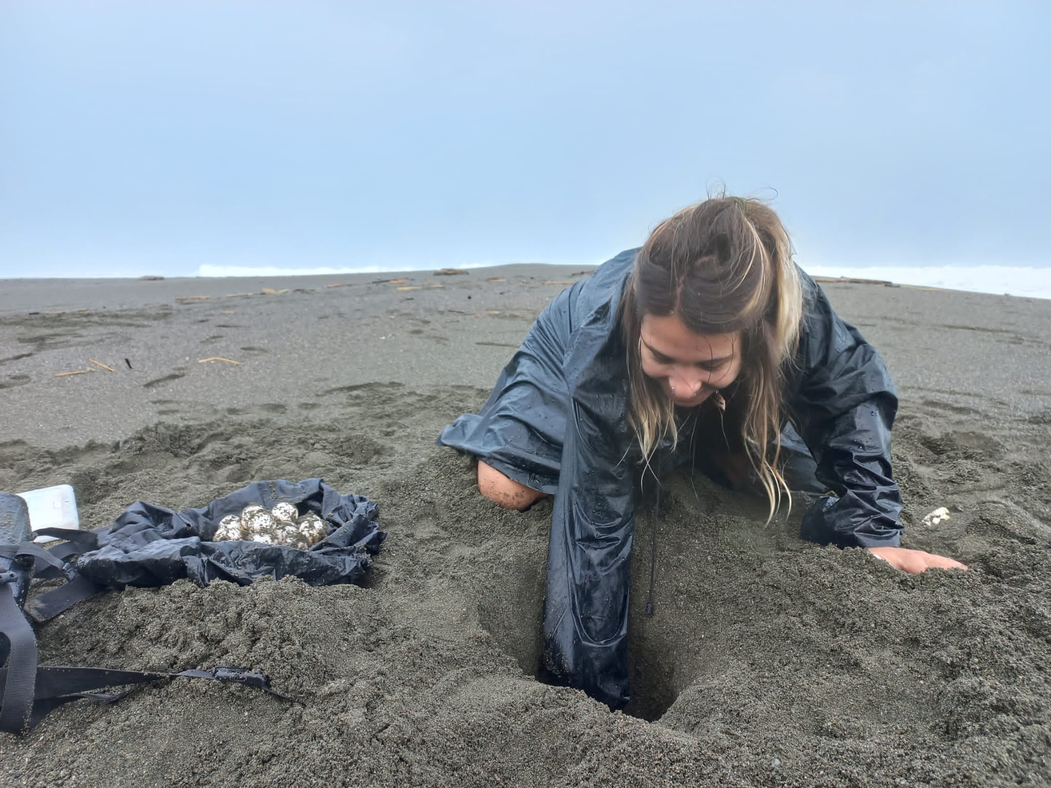 Volontariat tortue de mer costa rica