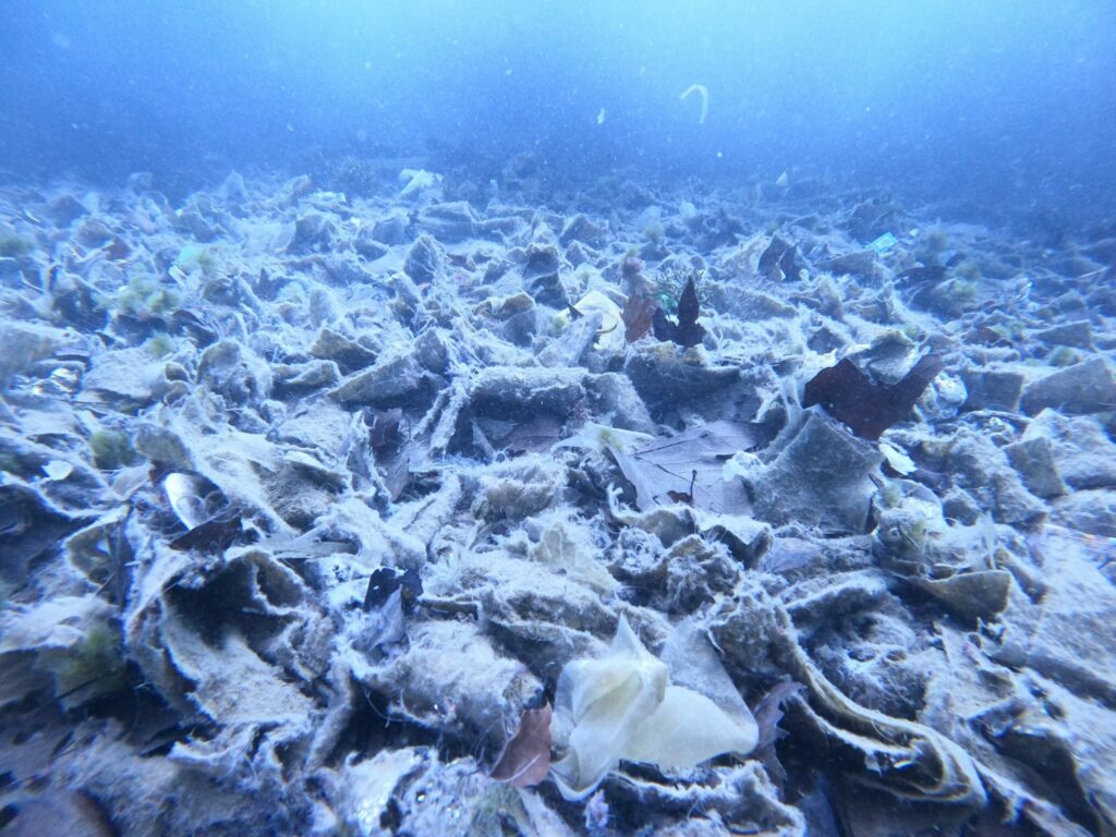 L'urbanisation et le sur tourisme sont une menace pour les fonds marins.