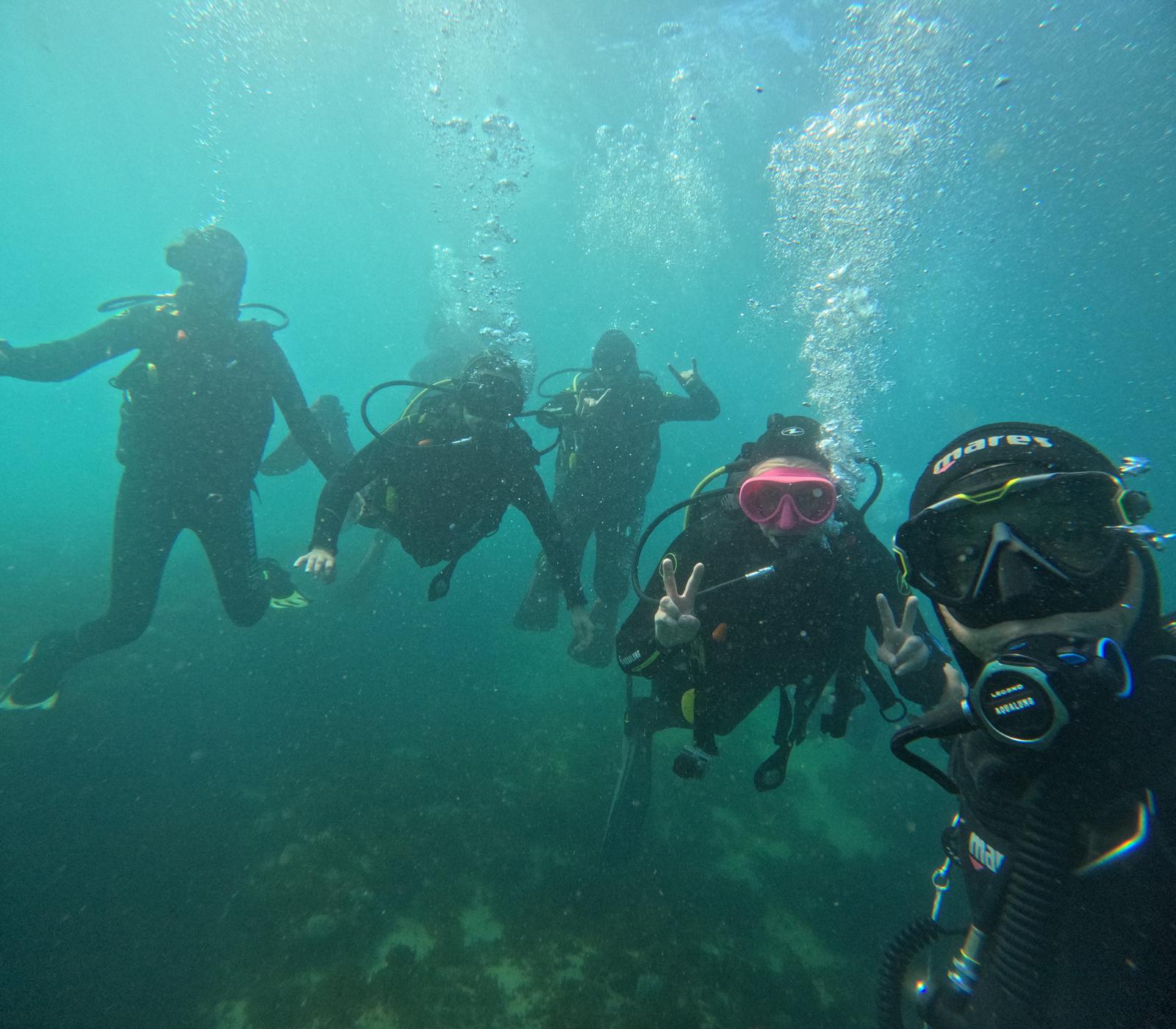 Marine Conservation Lisbon