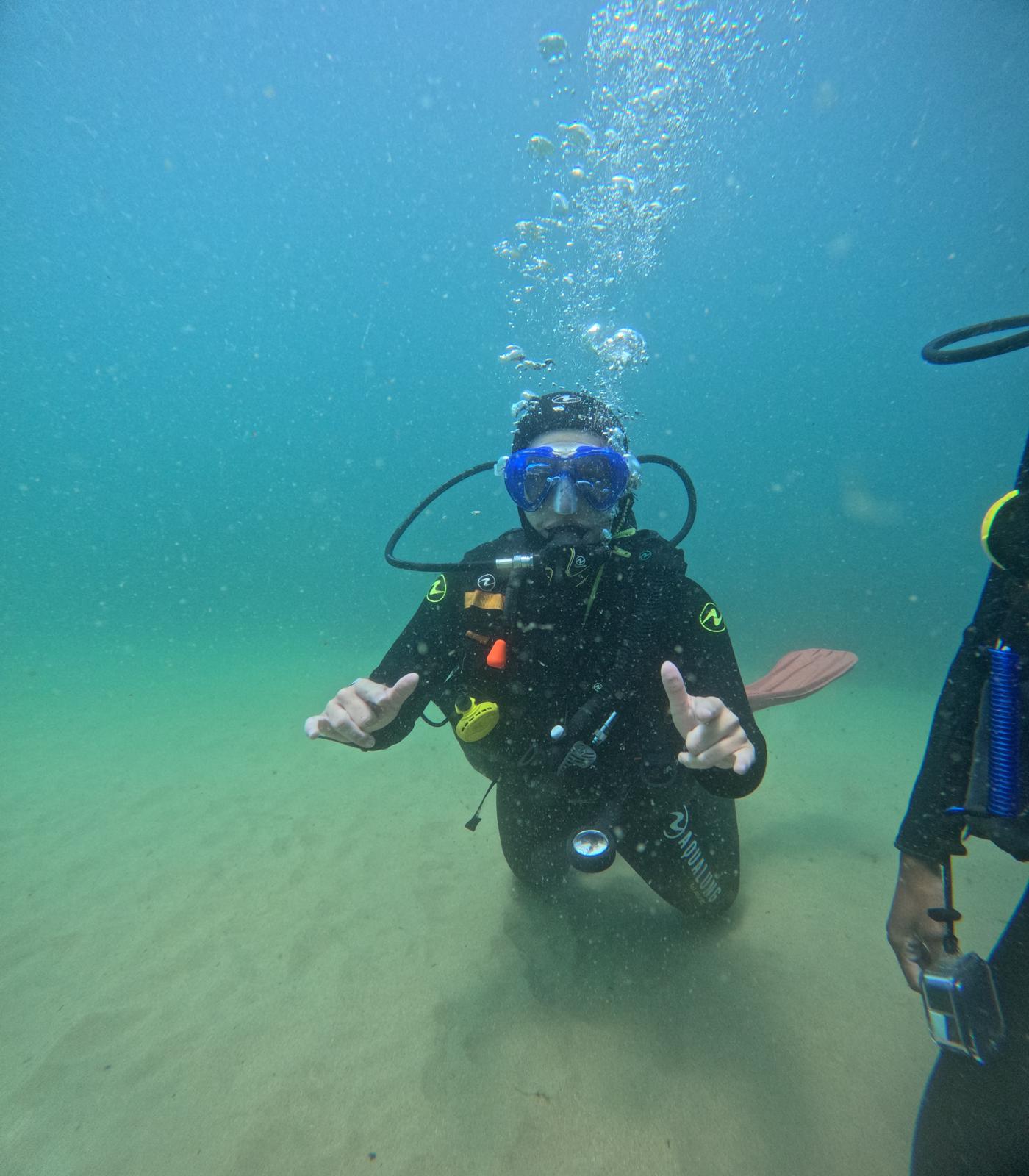 Volontaire Lisbonne conservation marine