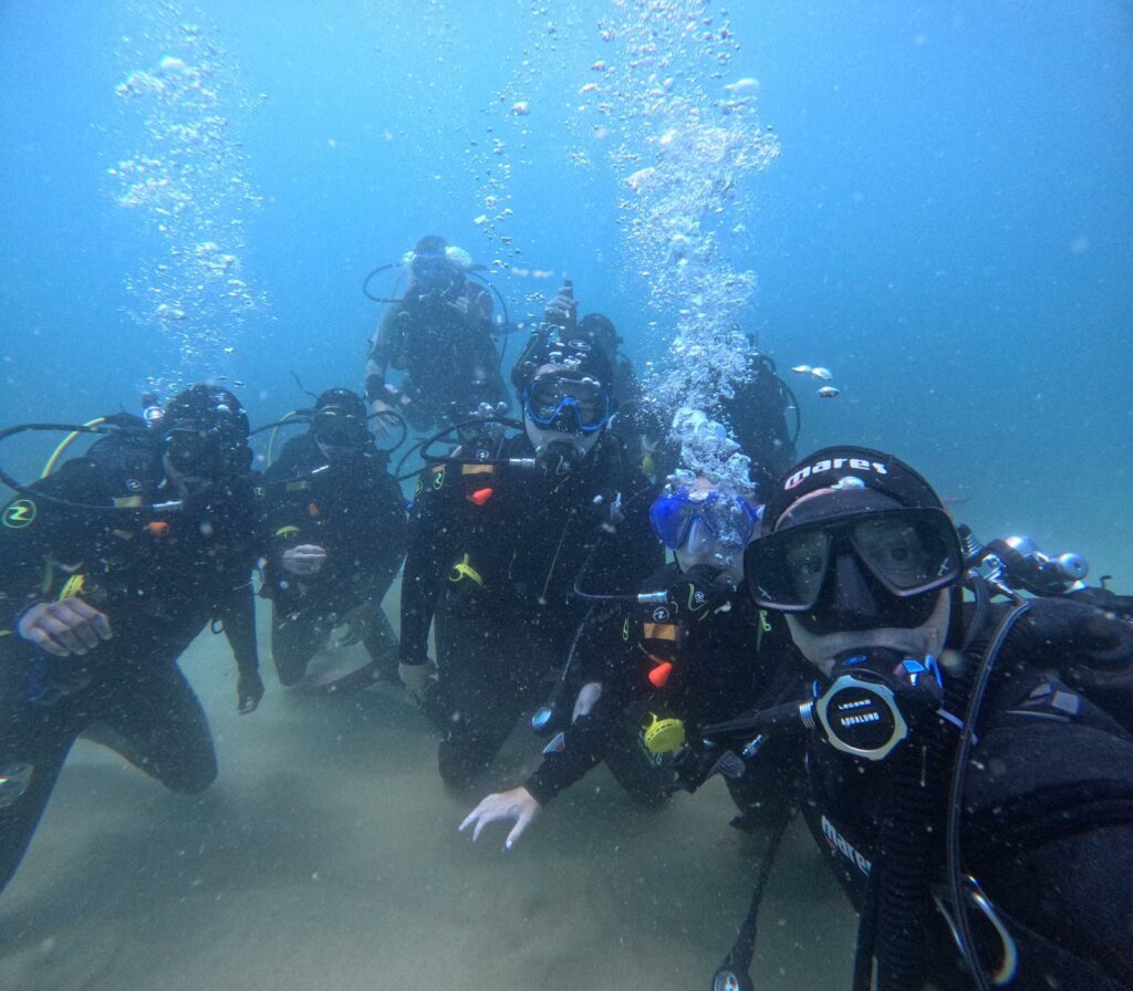 Conservation marine en plongée sous marine