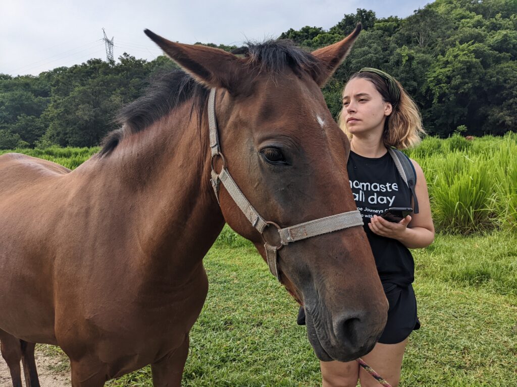 Immersion dans un village rural entouré de chevaux