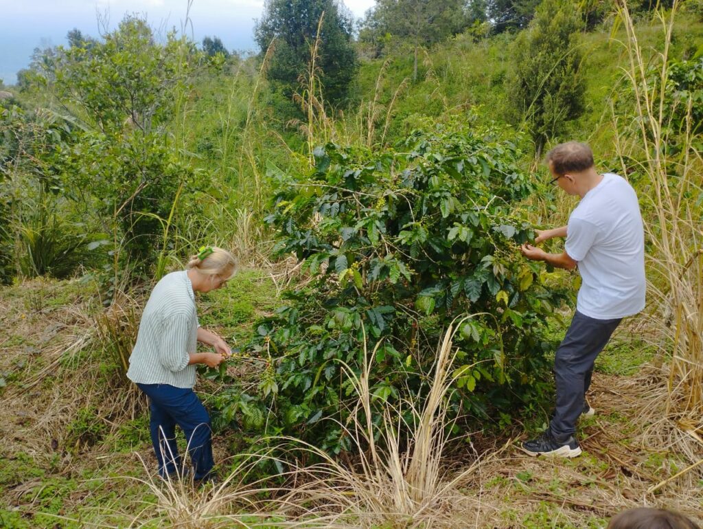 Ecovolontaire dans une ferme à Sumatra