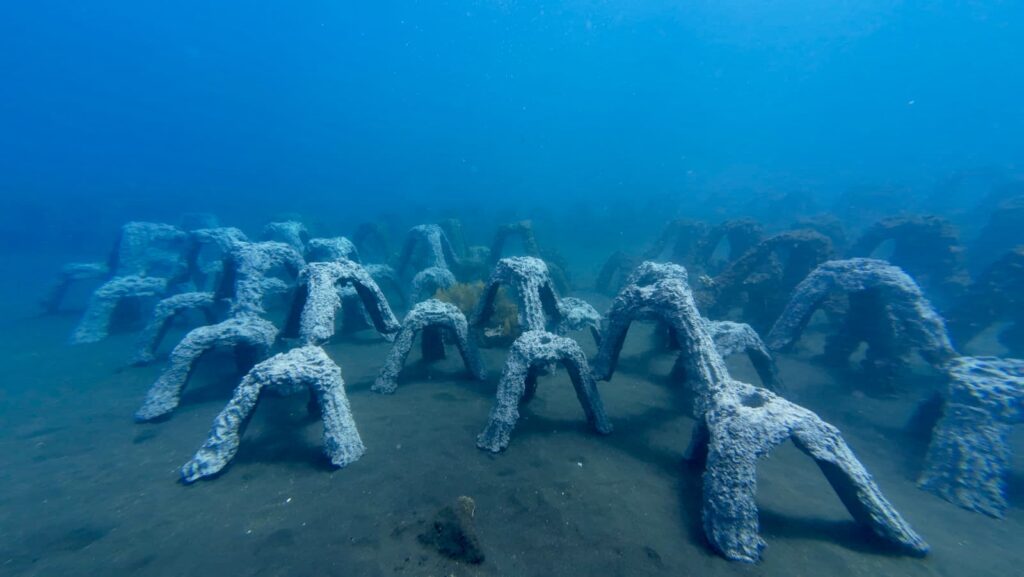 Structures artificielles pour restaurer les récifs coralliens