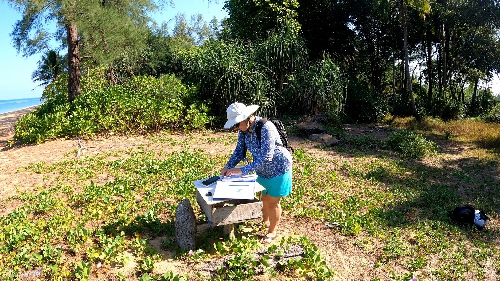 volontariat Thaïlande tortues marines