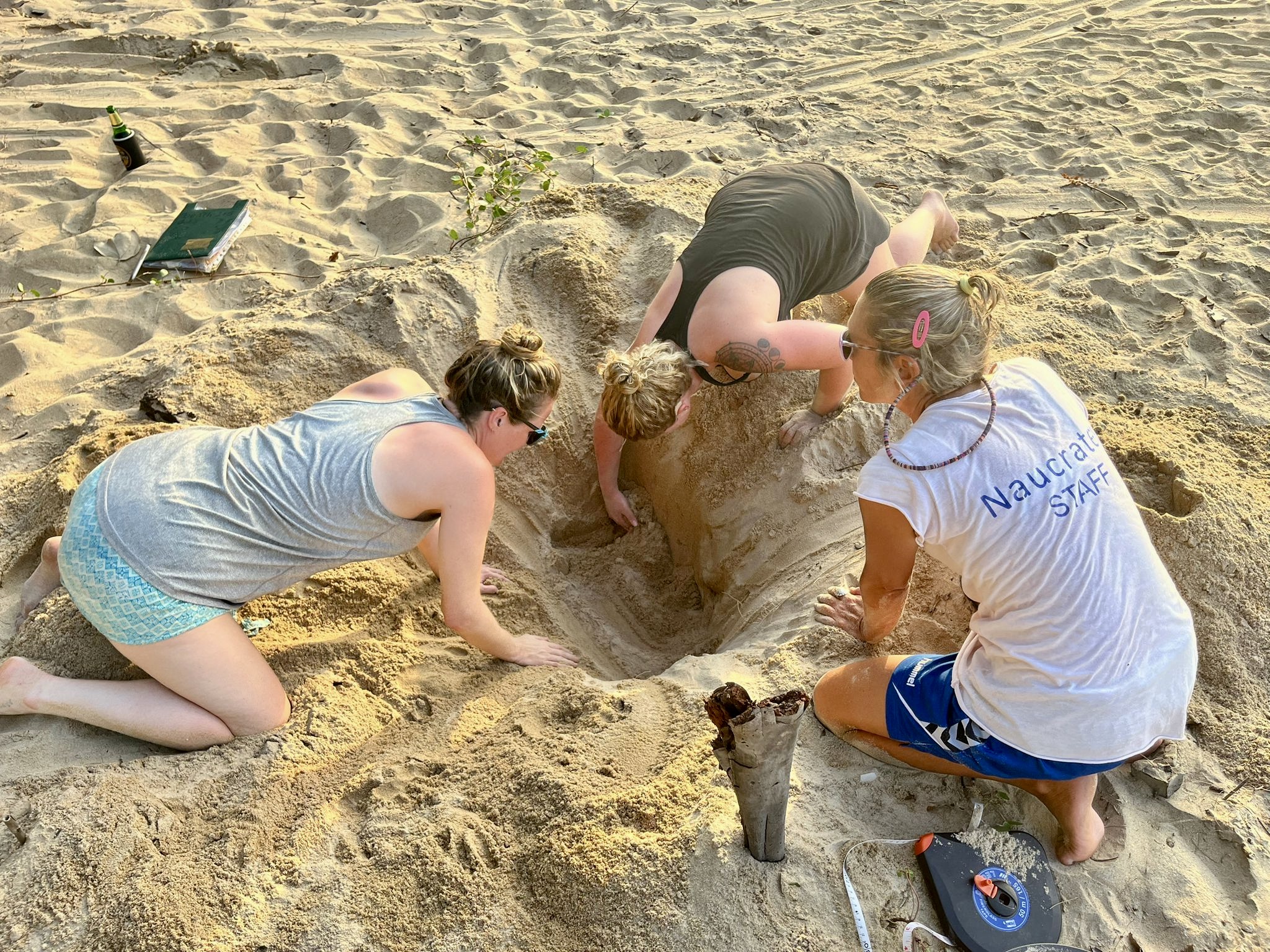 Protéger les tortues marines en Thaïlande