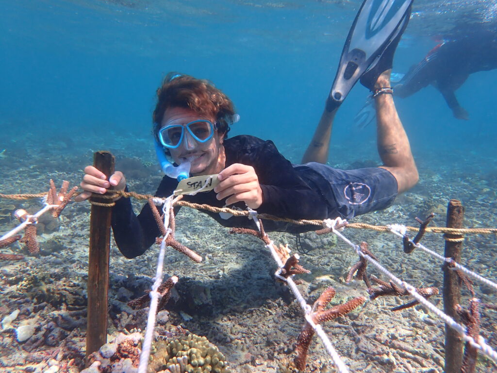 Restauration corail Nusa Penida