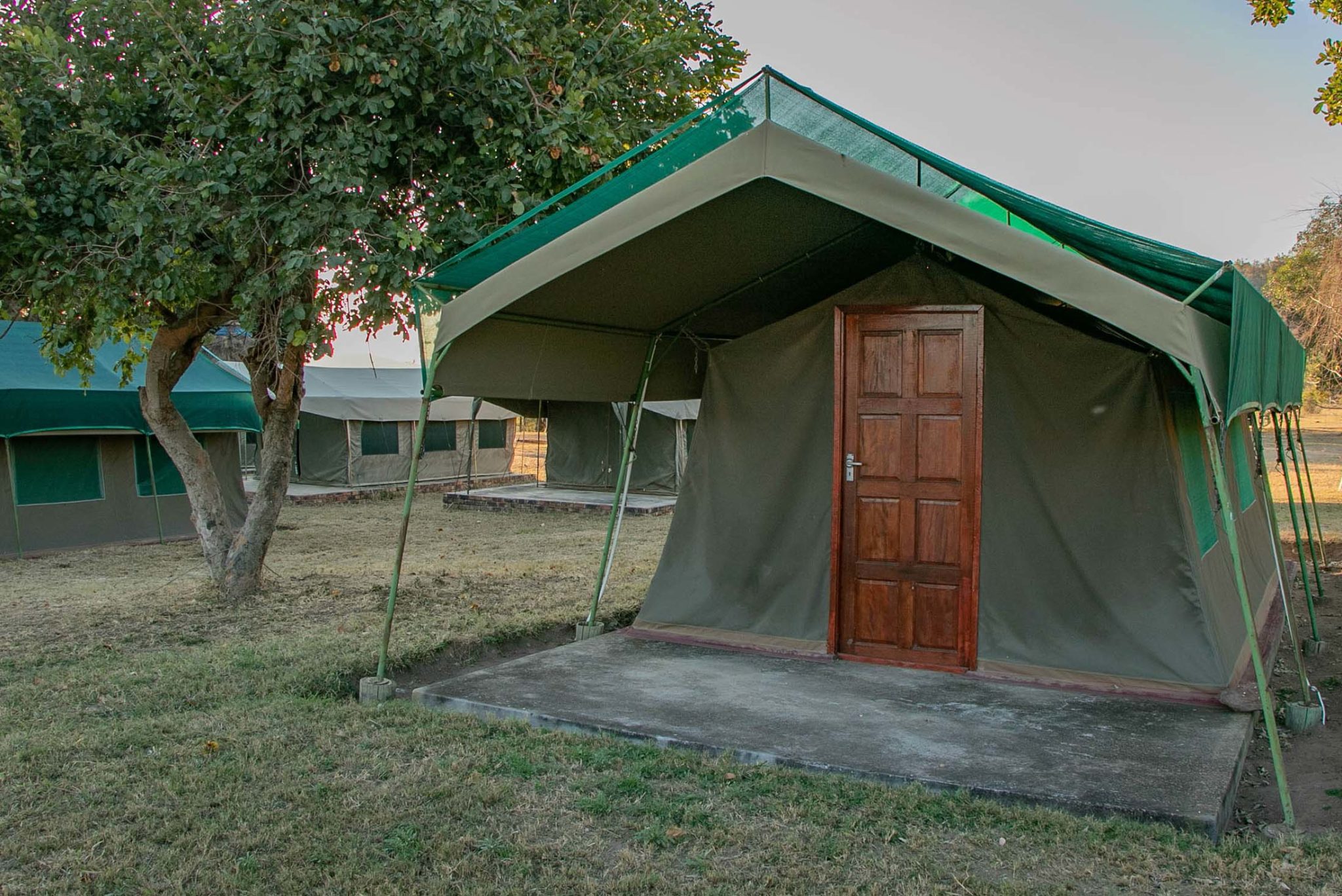 Les tentes  du camp au millieu du bush