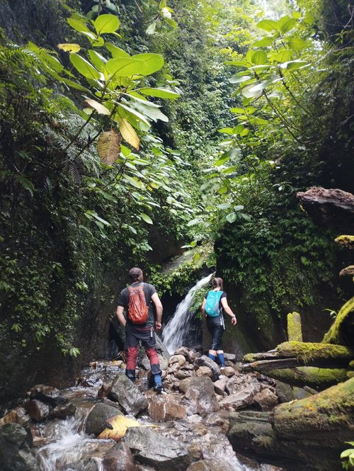 Découvrez la forêt primaire de Sumatra