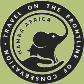 logo Hamba Africa