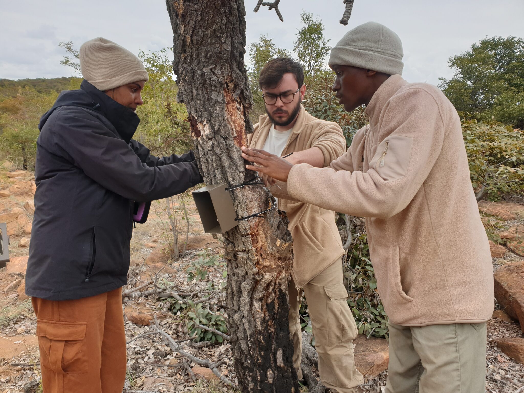 Recherche sur les espèces en danger en Afrique du Sud