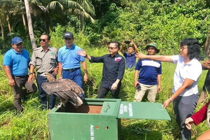 Volontaire dans un centre de sauvetage pour animaux sur l'île de Bangka en Indonésie