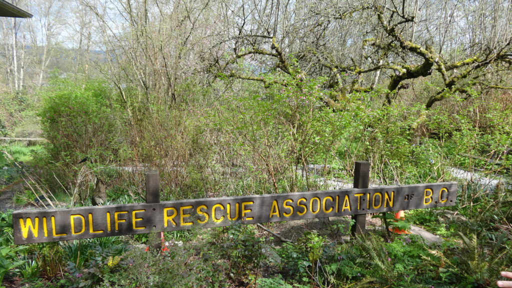 Centre de secours d'animaux sauvages Vancouver