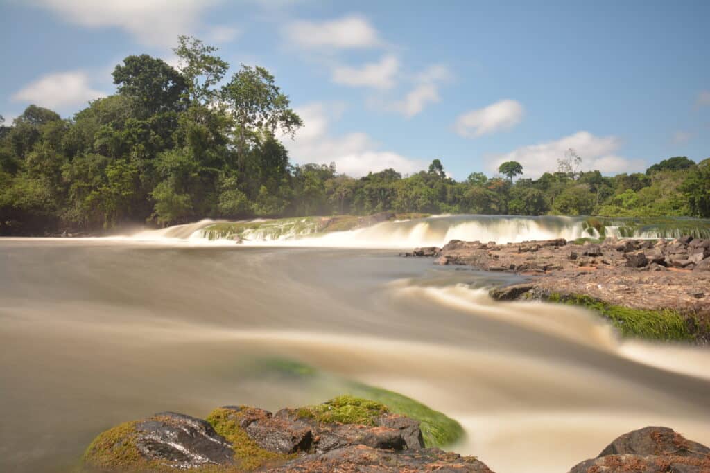 Ecovolontaire en Guyana en Amazonie