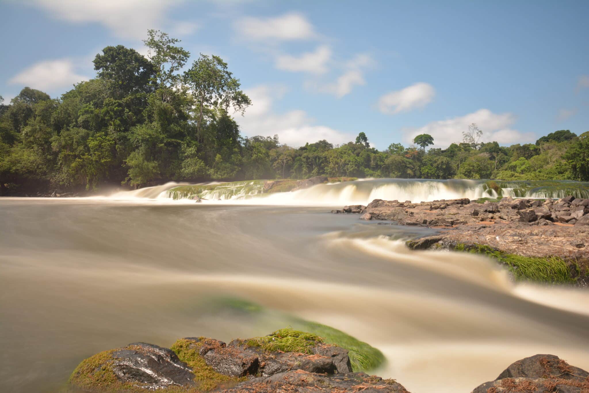 Ecovolontaire en Guyana en Amazonie