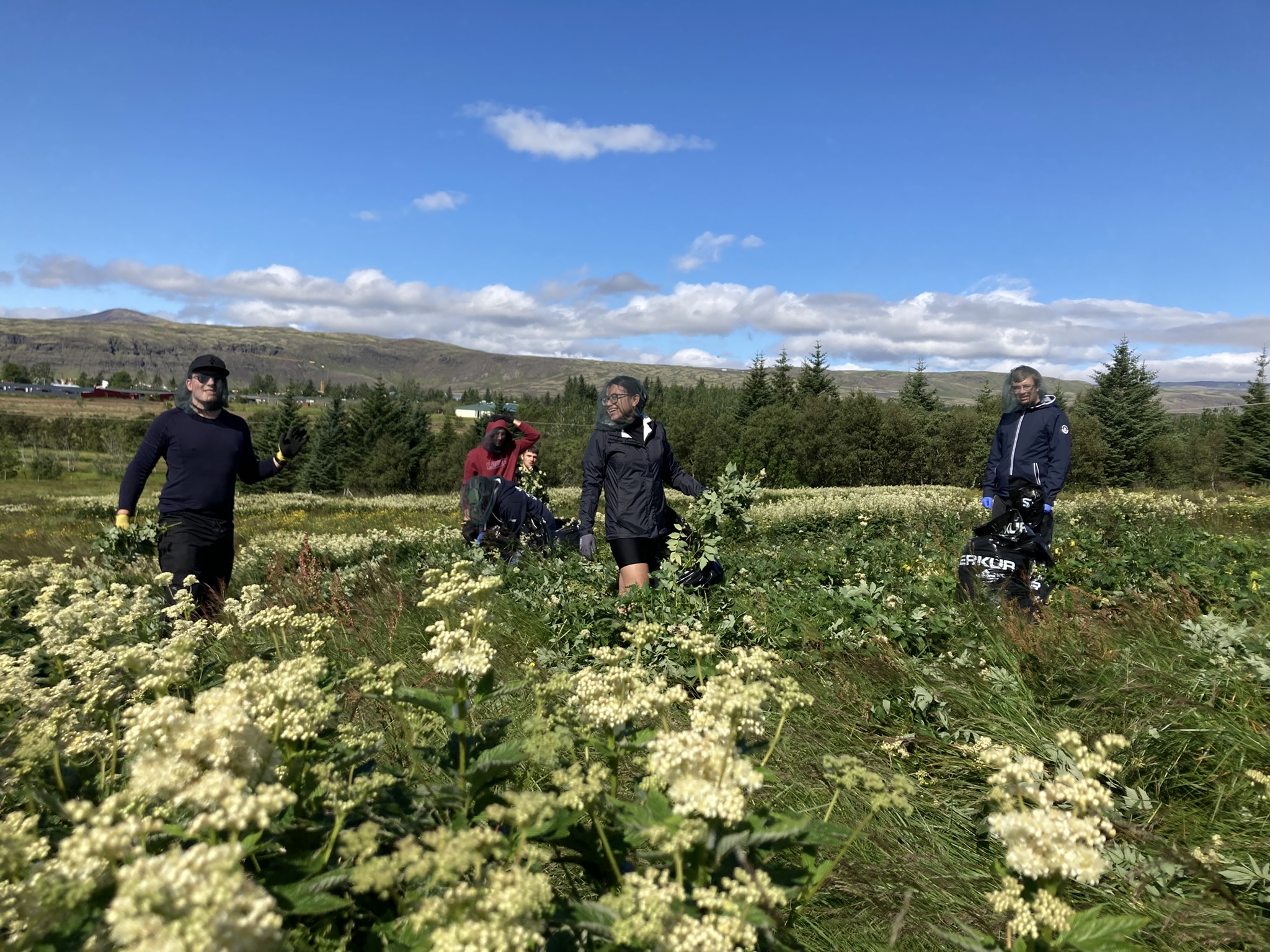 Volontariat nature et sant Islande